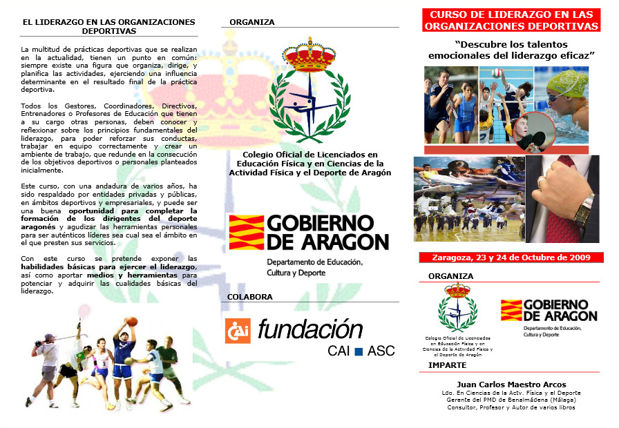 Curso de Liderazgo en las Organizaciones Deportivas (Zaragoza)