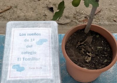 4ªEdición CEIP Tomillar de Benalmádena| 2025