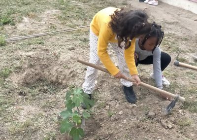 4ªEdición CEIP Tomillar de Benalmádena| 2025